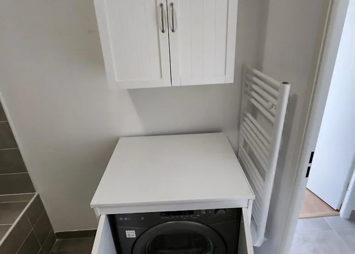 Terra Cotta * 圖盧茲